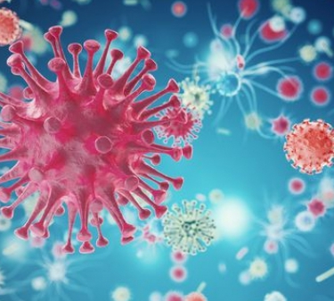 Corona virus update: WazoRiool is en blijft open